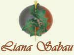 CABINET LIANA SABAU - medicina de familie - CASAOPSNAJ - acupunctura - apifitoterapie - homeopatie