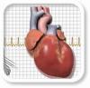 Cardiologie
