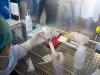 Laborator Cord Blood Center Cluj