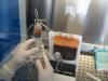 Laborator colectare sange placentar