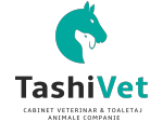 TASHI VET - Cabinet veterinar și toaletaj animale de companie