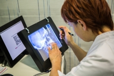 Radiologie digitala Dent Complet
